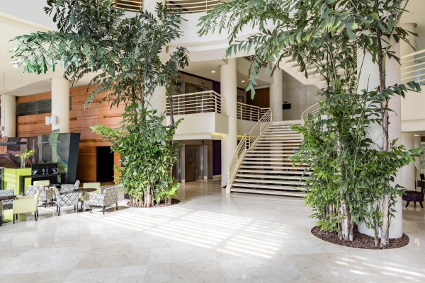 Sheraton Asuncion Hotel (Asunción)